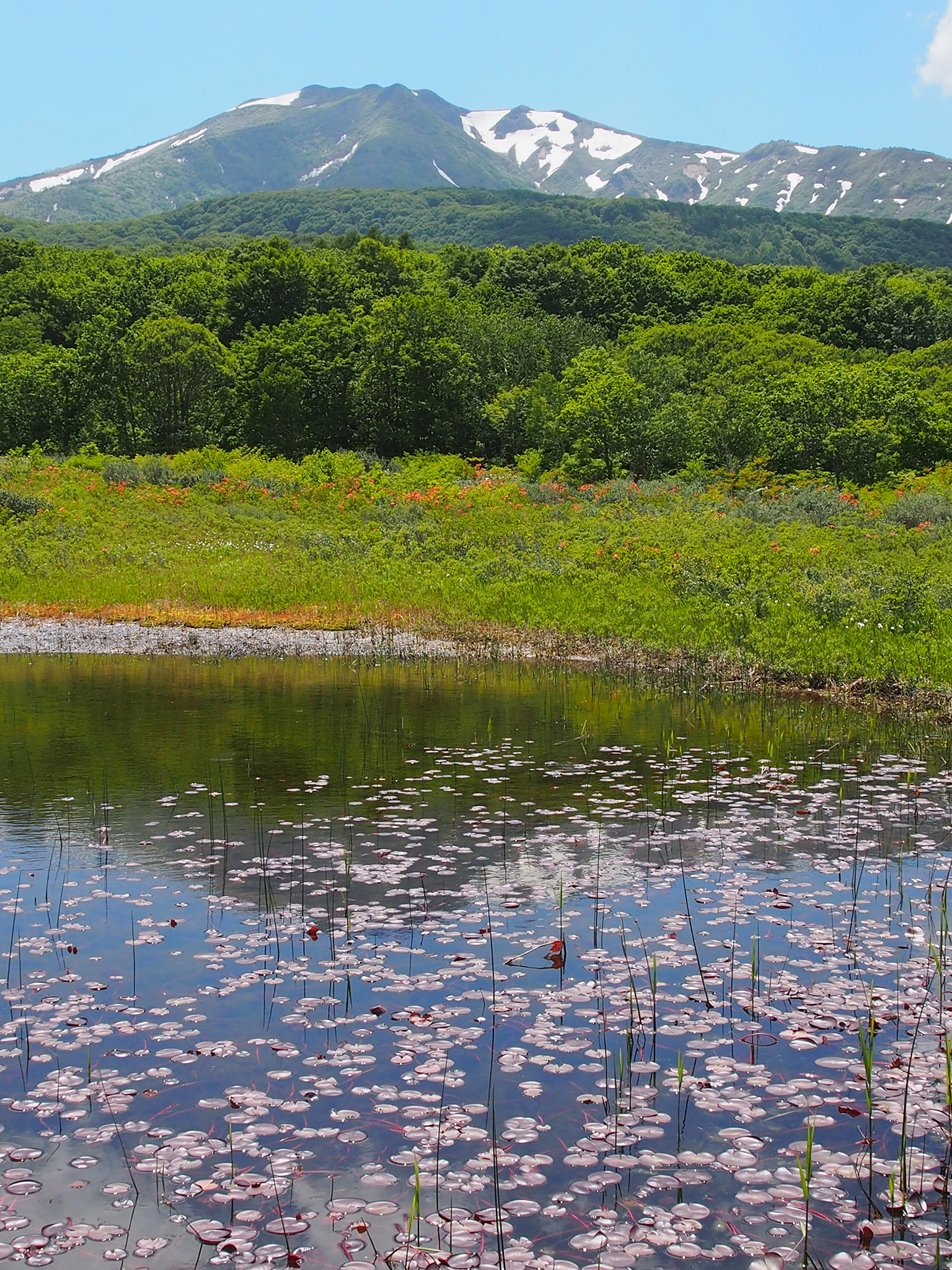 中央の池塘から赤倉岳