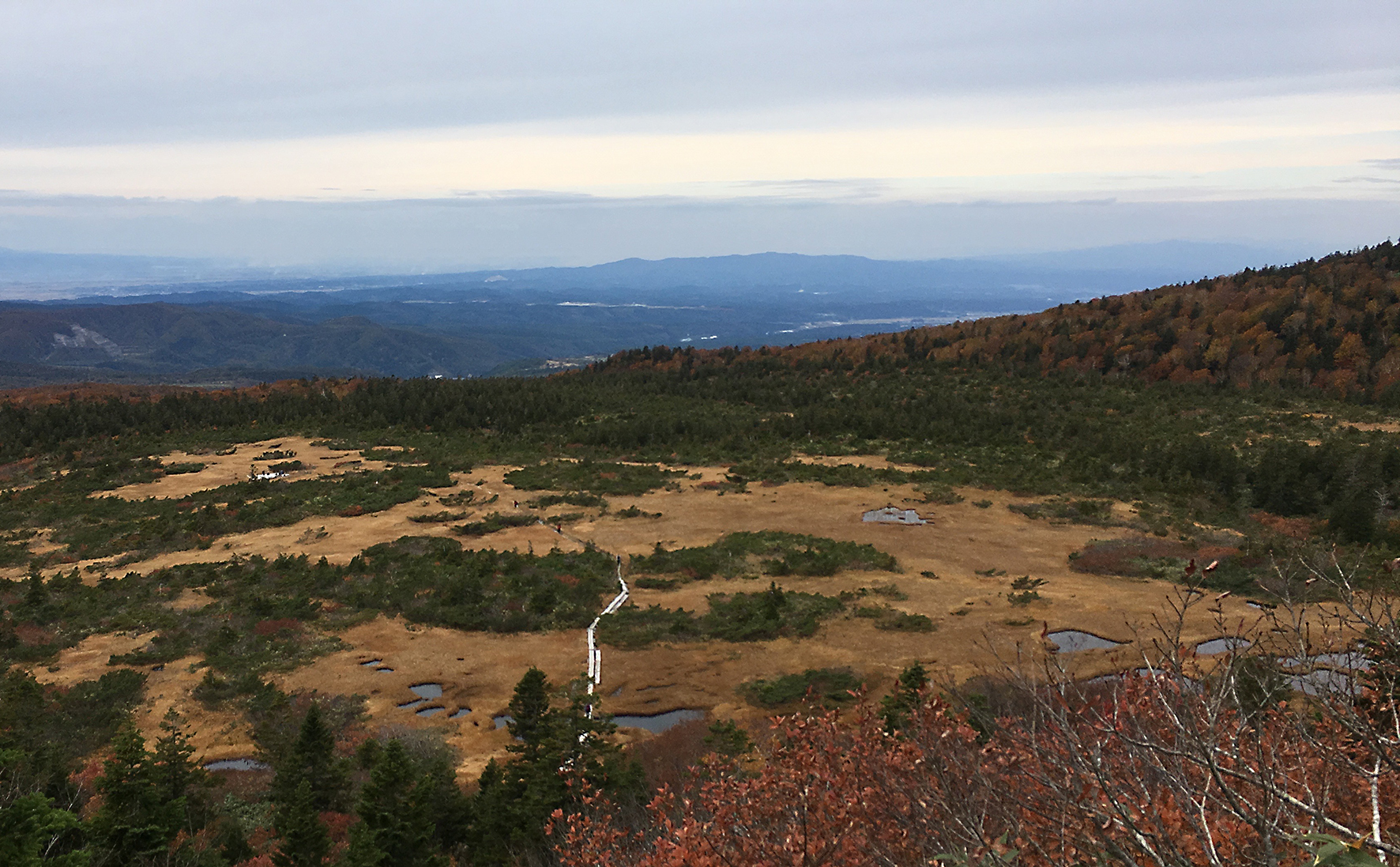 田代湿原