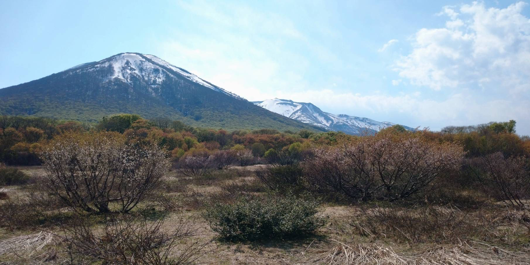 田代湿原